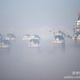 Image for article titled China’s northeast hit by air pollution so bad “you can’t see your own fingers in front of you”
